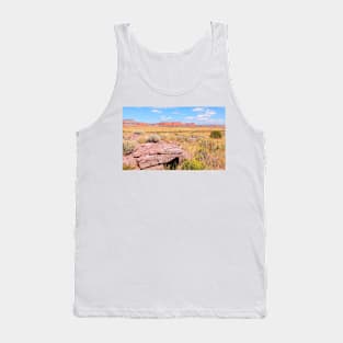 Landform of American desert. Tank Top